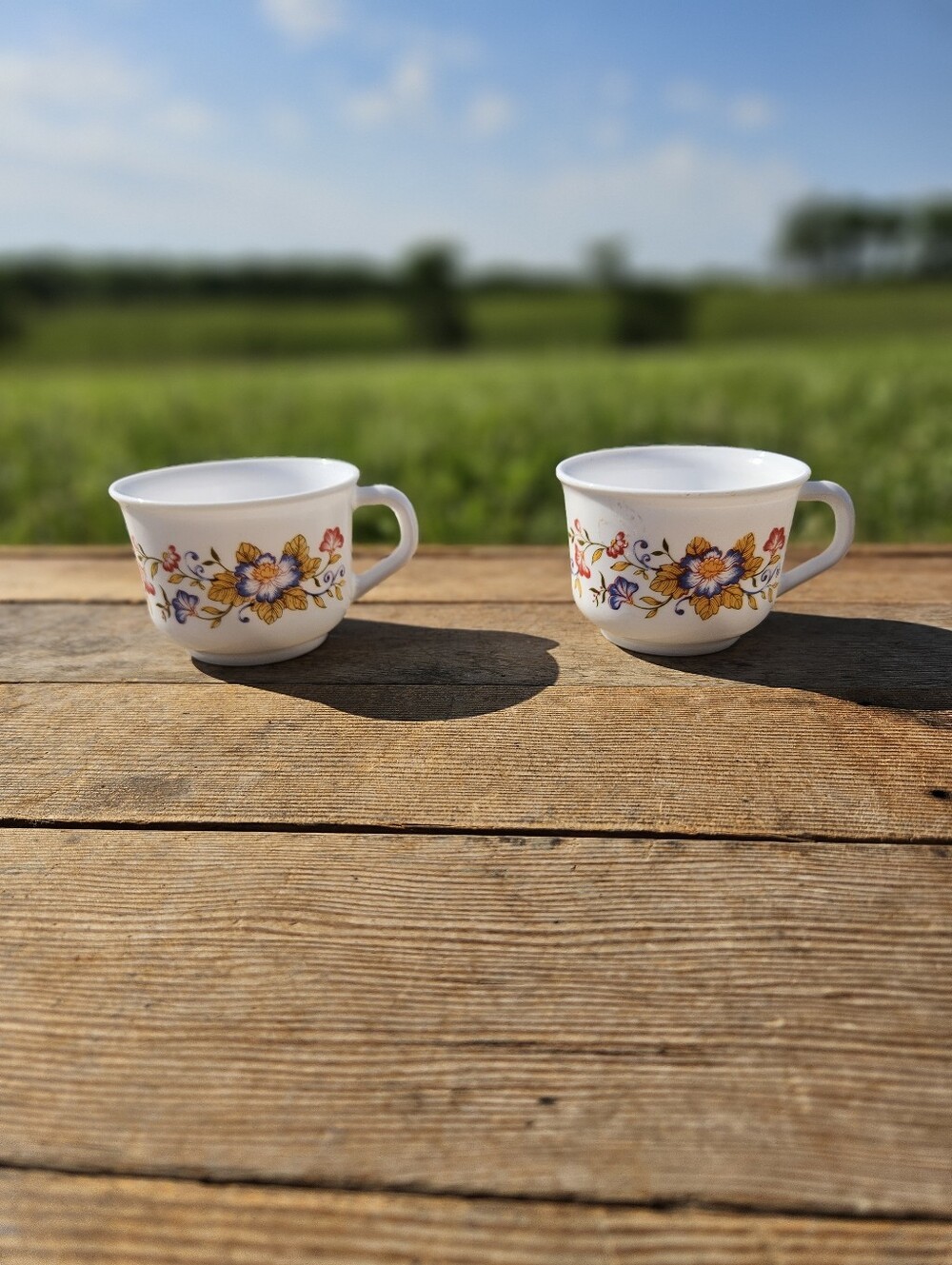 Vintage Arcopal France Floral Milk Glass Coffee Tea Cups Mugs Set of 2 Retro 70s
